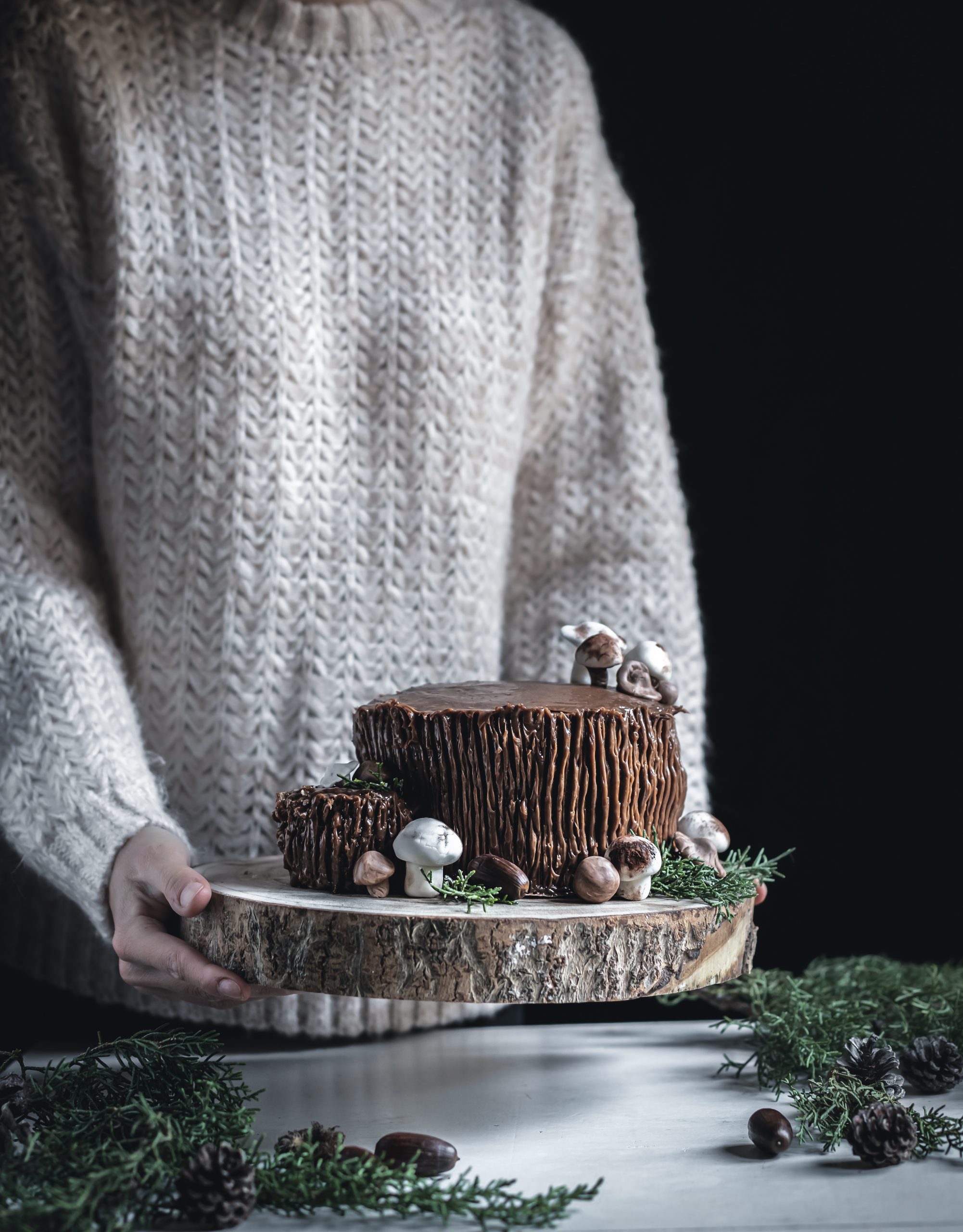 Chocolate Christmas log cake